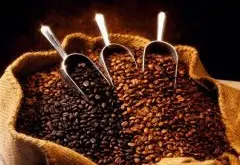 非洲產區介紹——埃塞俄比亞精品咖啡 摩卡哈拉 耶加雪啡 摩卡咖