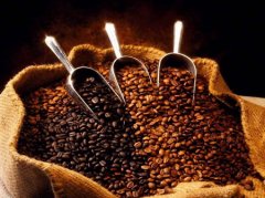 精品咖啡豆介紹——埃塞俄比亞耶加雪菲精品咖啡 耶加雪菲的特點