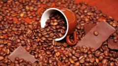 阿拉比卡豆 阿拉比卡豆的特色  咖啡產國中國臺灣  咖啡豆中國臺