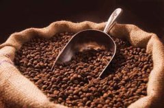 蘇丹咖啡的基本介紹 蘇丹咖啡的特色 蘇丹咖啡品質 蘇丹咖啡的風