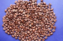 一種非常稀有的咖啡品種——瑰夏咖啡 瑰夏咖啡介紹 瑰夏咖啡品質
