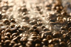 中國咖啡原料出口量再創新高 雲南咖啡種植業 咖啡出口 咖啡文化