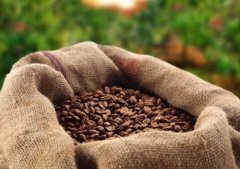 哥倫比亞精品咖啡介紹——高產量的優質咖啡豆 哥倫比亞咖啡種植