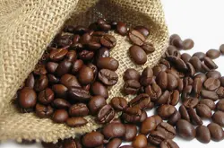 中國咖啡網推薦巴拿馬波奎特凱薩路易斯莊園水洗處理精品咖啡熟豆