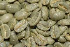 咖啡烘焙知識 曼特寧咖啡豆要烘多久 咖啡烘焙心得 咖啡烘焙的方