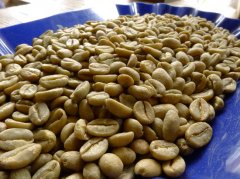 埃塞比亞西達摩精品咖啡產地介紹——夏奇索咖啡產區 精品咖啡產
