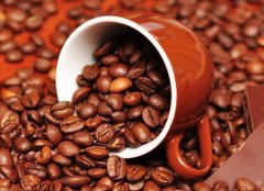 精品咖啡介紹——阿拉比卡咖啡豆 阿拉比卡咖啡豆的風味 阿拉比卡