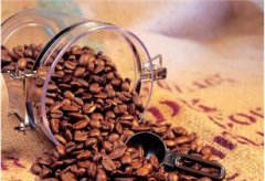 印尼爪哇咖啡羅布斯塔咖啡生豆介紹 羅布斯塔咖啡豆的歷史 羅布斯