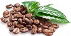 怎樣儲存咖啡熟豆才保證咖啡的風味？ 咖啡熟豆的保養方式 如何保