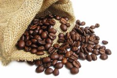 肯尼亞精品咖啡 肯尼亞咖啡的口感特點 肯尼亞咖啡的風味特色 肯