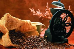哥斯達黎加欲進一步開拓中國咖啡市場 優質咖啡豆 質咖啡豆供應商