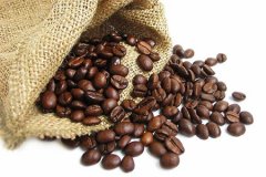 蘇門答臘曼特寧精品咖啡風味介紹 曼特寧咖啡口味特徵 曼特寧咖啡