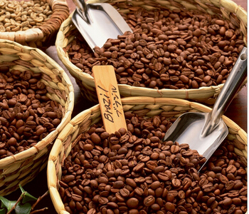 如何選購巴拿馬咖啡豆巴拿馬艾力達精品咖啡豆正宗巴拿馬咖啡豆
