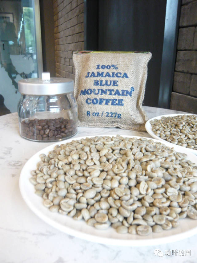 如何鑑別真假的藍山咖啡在哪裏可以買到藍山咖啡藍山風味拼配的咖