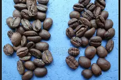 咖啡品種帕卡馬拉Pacamara帕卡馬拉品種產區品種由來品種風味