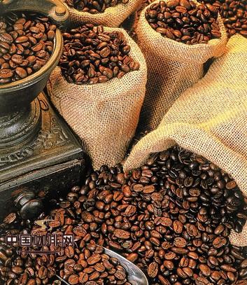 巴西咖啡的樹種包括了波旁波旁變種卡杜拉巴西咖啡的世界咖啡產量
