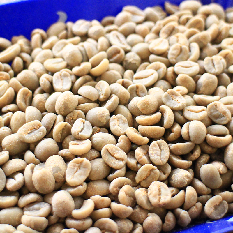 怎樣的生豆纔是優質的生豆呢？如何挑選咖啡生豆？九十+levelup生