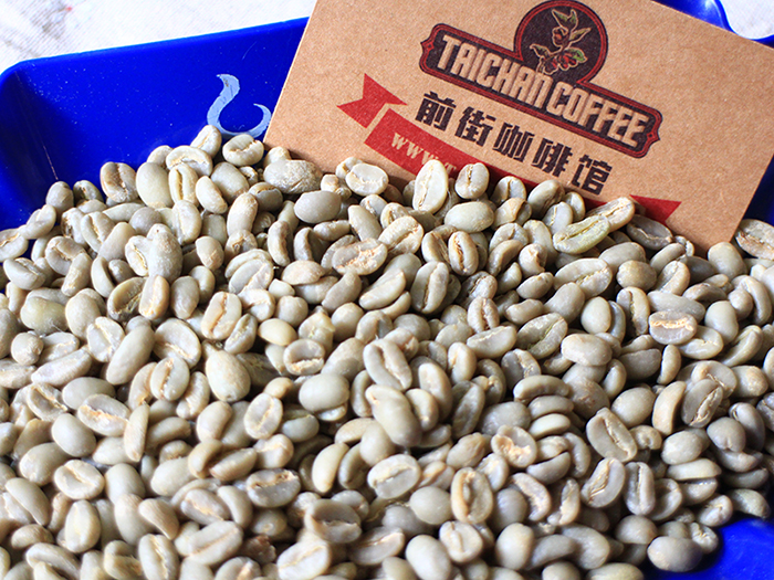如何手選咖啡生豆？正確挑選咖啡生豆？哥斯大黎加火鳳凰莊園生豆