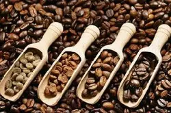 咖啡豆選購教程咖啡豆品牌種類指南商用意式濃縮拼配咖啡館專供均