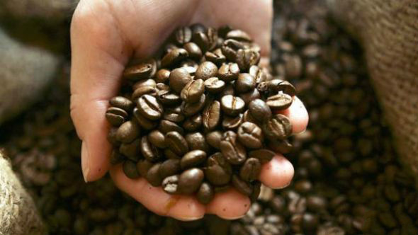 咖啡種類介紹及各類咖啡的做法手衝咖啡的製作方法印度尼西亞巴釐
