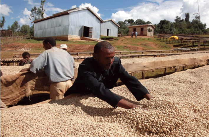 怎樣能買到好的咖啡豆網上購買咖啡豆需要注意些什麼? 埃塞俄比亞