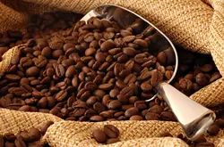 如何選購新鮮的咖啡豆?咖啡豆購買小技巧？最科學的咖啡豆購買指