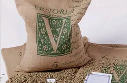 如何選咖啡豆咖啡豆阿拉比卡怎麼保存什麼值得買咖啡豆選購教程
