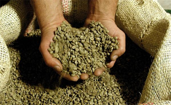 非洲的主要咖啡豆生產國有哪些Tanzania AA坦桑尼亞咖啡豆黑咖啡