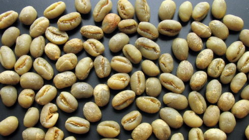 坦桑尼亞咖啡生豆乞力馬紮羅AA 烏梅子風味均衡酸性柔順溫和