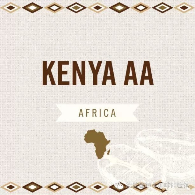 肯亞咖啡多少錢？肯亞咖啡豆批發價格肯尼亞咖啡等級的劃分方法