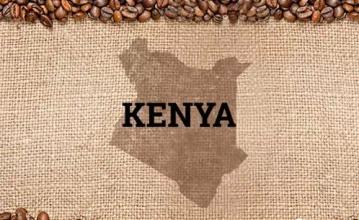 2016年肯尼亞特產大全肯尼亞咖啡攻略新鮮下單烘焙咖啡豆肯尼亞aa
