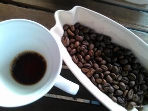 史上性價比最高的咖啡豆巴拿馬凱撤路易斯莊園中度烘焙水洗