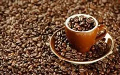 瑰夏咖啡與藍山咖啡哪個更好【精品咖啡】埃塞俄比亞耶加雪菲日曬