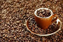 阿拉比卡咖啡豆特點阿拉比卡咖啡豆和其他咖啡豆的區別
