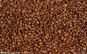 薩爾瓦多咖啡的價格薩爾瓦多咖啡的介紹薩爾瓦多咖啡的簡介