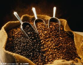 精品印尼巴厘島咖啡豆的介紹巴厘島咖啡豆的特點		