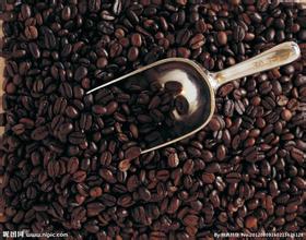 精品咖啡坦桑尼亞咖啡產區北部高地 吉利馬札羅火山地區