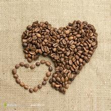 精品咖啡薩爾瓦多咖啡風味李子、紅糖、紅酒酸質