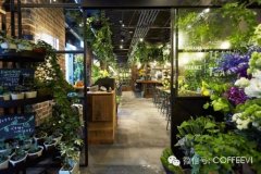 日本咖啡館推薦 充滿油綠的餐飲空間TEA HOUSE