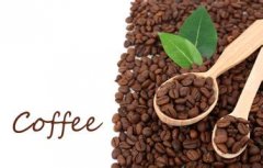 精品咖啡坦桑尼亞咖啡風味杏果、核棗、香料、麥芽巧克力
