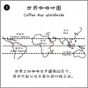來自世界第四大咖啡生產國的咖啡 第四大咖啡生產地墨西哥
