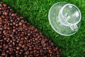 咖啡豆烘焙常識盧旺達咖啡豆風味盧旺達咖啡該如何喝