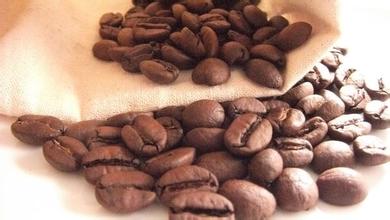 咖啡樹 咖啡的種植方法 咖啡豆子 精品咖啡