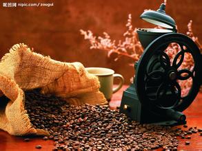 越南貓屎咖啡 越南開始出產“麝香貓”咖啡
