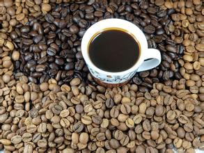 哥倫比亞咖啡出口主要銷與那個地方