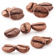 咖啡豆的主要成分