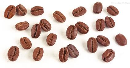 哪種咖啡豆帶有非洲豆的特有酸味