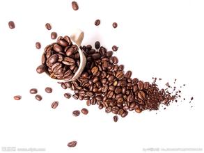 咖啡栽種條件 咖啡的種植到咖啡豆的處理