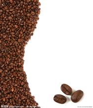 意大利蒸汽式咖啡 機械採摘和手工採摘咖啡豆