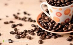 咖啡豆和咖啡粉區別在哪 喝咖啡的話是不是買咖啡豆比較好